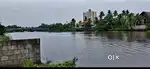 42 cent water front land for sale near vyttila