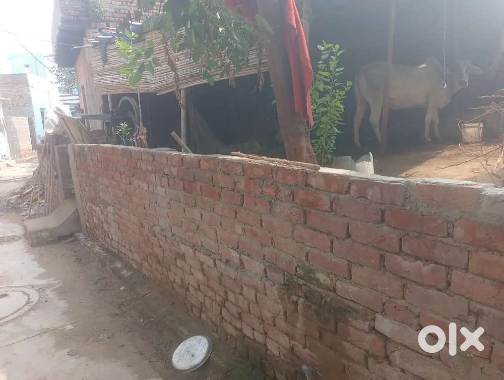 Kashyap plot  75 Gaj 150000 lakh price bahadurgarh Digi Waype plot