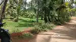 90 Cent Coconut Farm Land for Sale in Allankottai,After Rajakamangalam