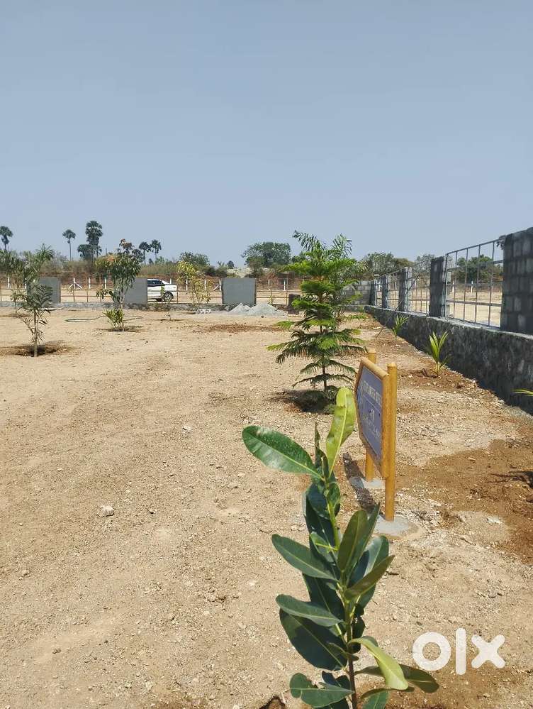 Very Low Budget Farmland For Sale in Pothanur Chettipalayam
