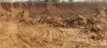 मिट्टी डलवाने के लिए संपर्क करे ट्राली डम्पर दोनों