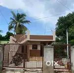 Dream Home