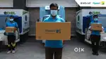 Van Delivery Executive