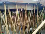 COMPLETE SHUTTERING FOR SALE +