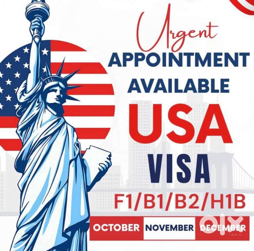 visa service