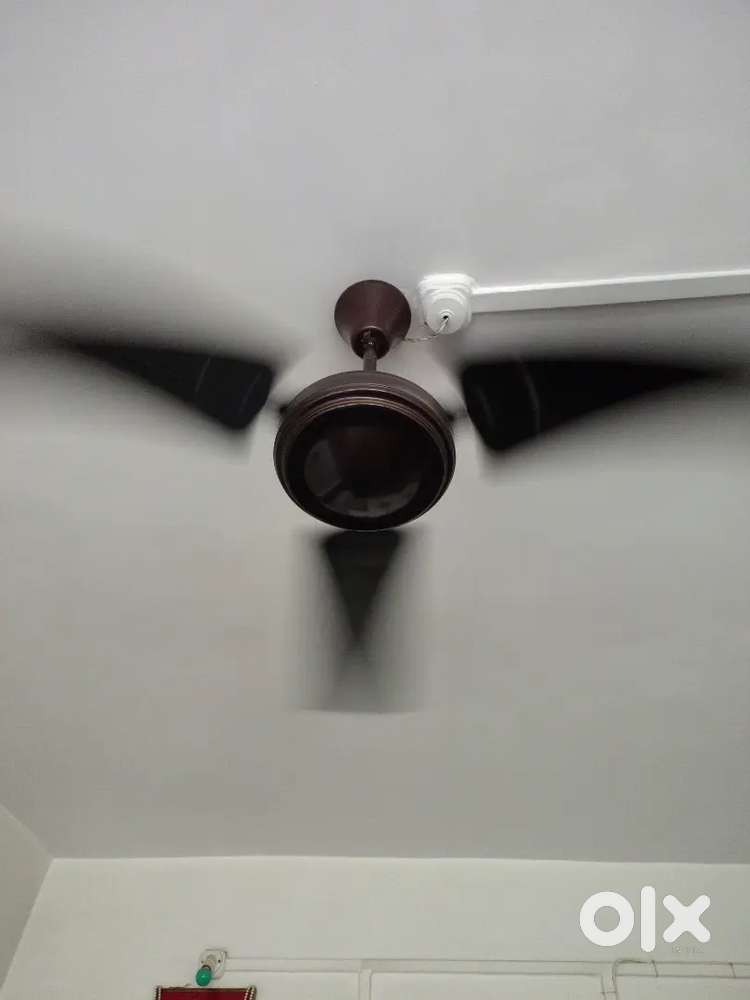 Ceiling Fan 48 inch