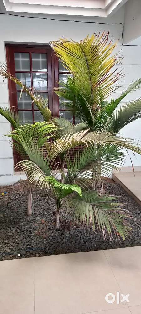 Parttime, work from home, online works