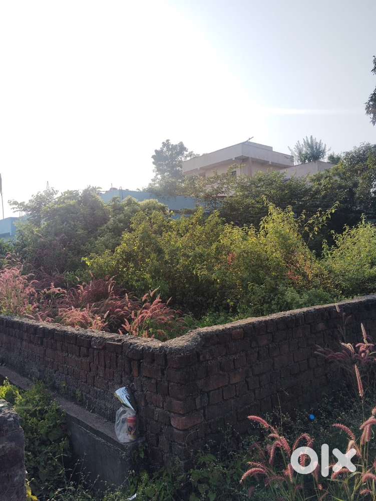 Plot at New society in near main Road mango