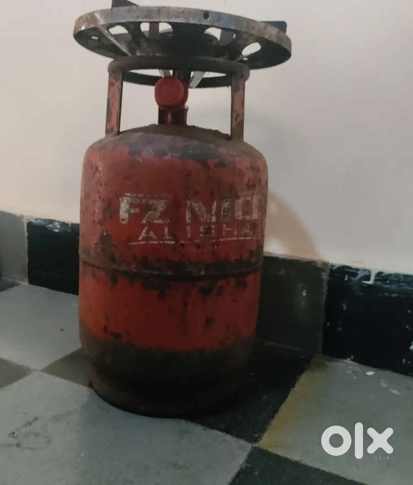 Gas stove with burner