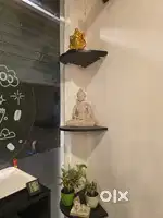 Brand new coffee shop for sale in low price