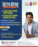 Collection Executive