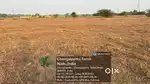52 cent patta  land sale Chengalpet near palur village