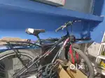 HIPPO cycle with single speed gear and with shock ups