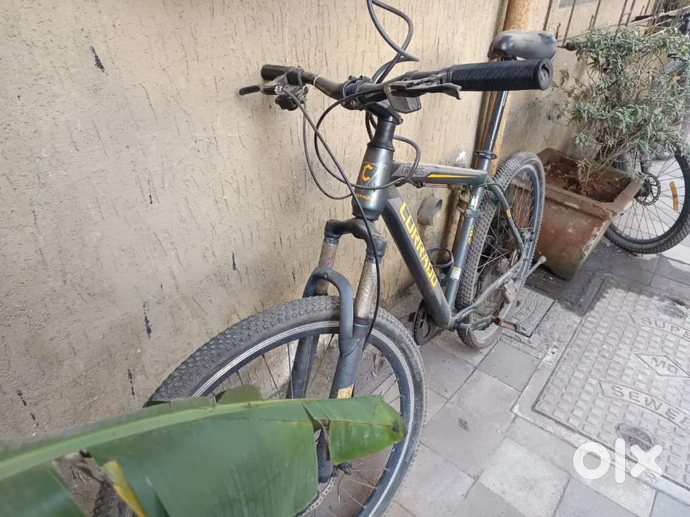 Corrado cronos Cycle (Made in Italy)