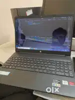 Hp Radeon Graphics