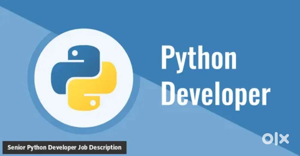Python Developer