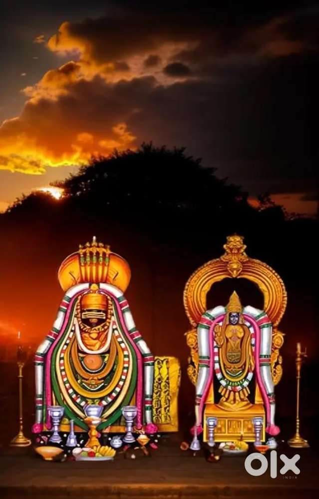 Non voice data entry