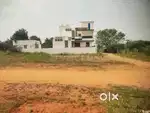 Panjapur bustand near