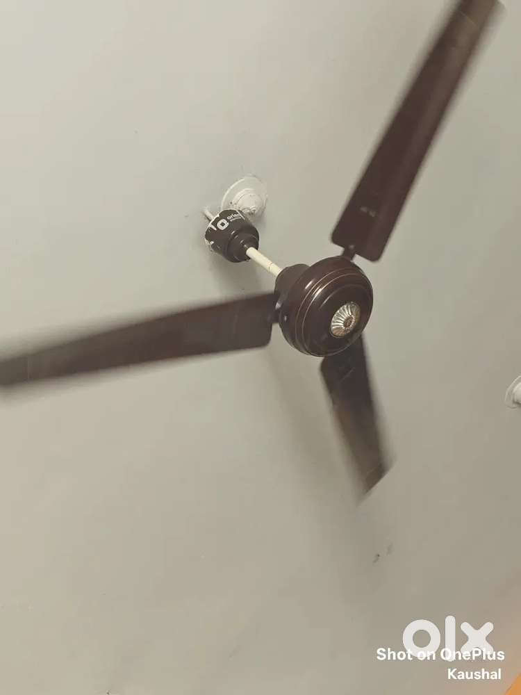 New Fan with low price