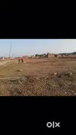 450 gaj plot