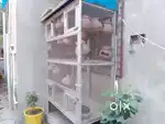 A customised cage capacity of holding 70 - 80 bird (180 cm x 80cm)