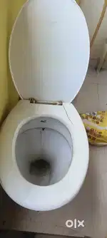 Toilet podium