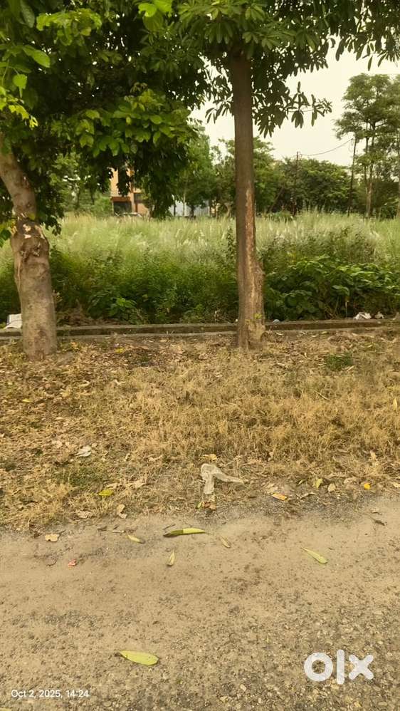 Agriculture land near pakbara