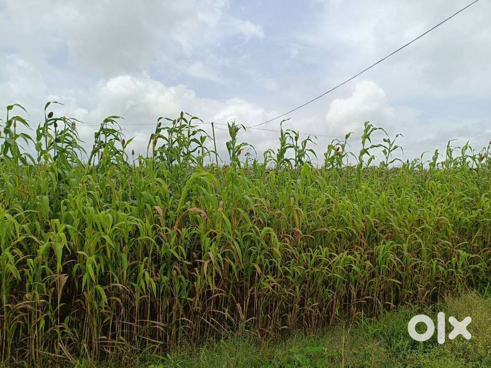 3 acres Red agricuture land. Good Farming, construction, mining Rock