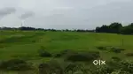 1.5 katha land for sale , per katha 28 lakh. Negotiable