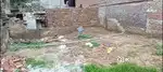 900 sqft plot in 31 lacks near B.L.S INTER COLLEGE