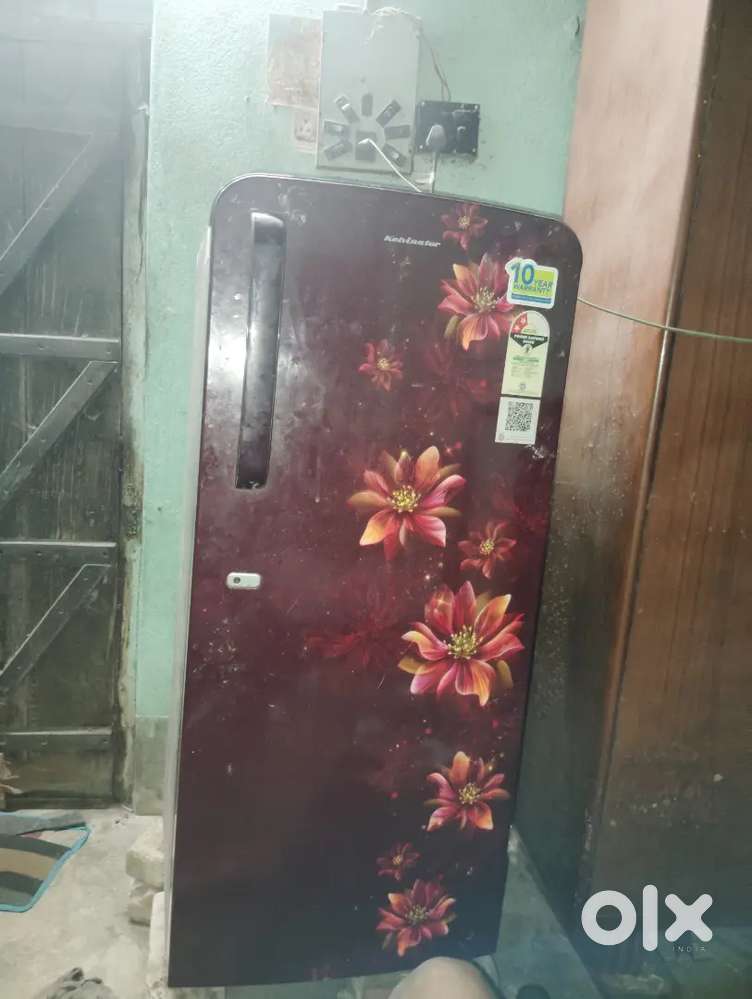 Kelvinator Fridges