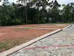 PATTIMATTOM PAZHAMTHOTTAM PLOTS INFOPARK KAKKANAD 11 KM ONLY