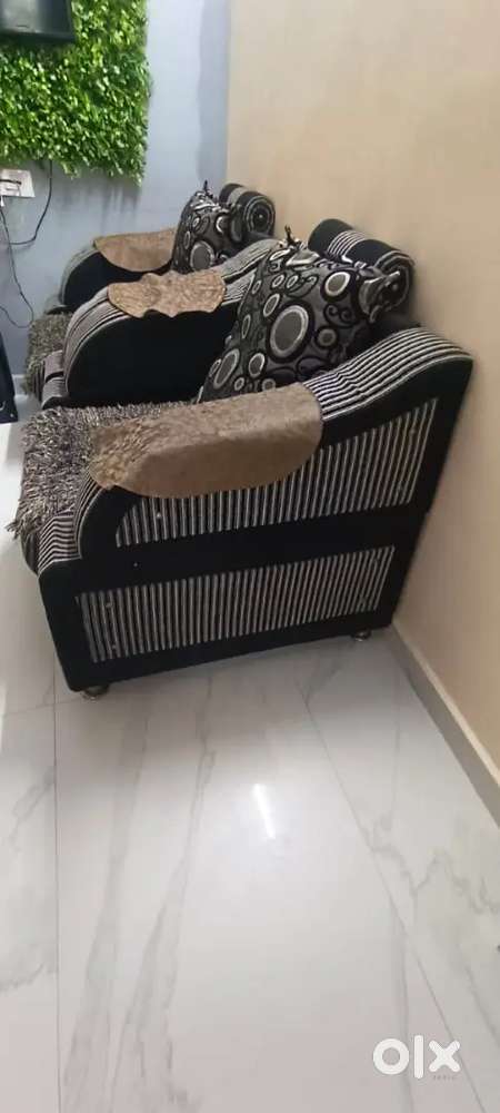 Two sofa  Shetty