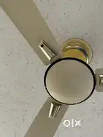 Branded Ceiling Fan in Good Condition - Best Price