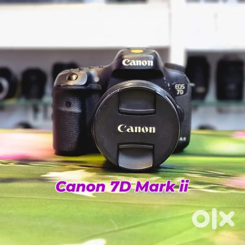 Canon 7D Mark II with 18-135mm USM Lens Wildlife & Action Photography