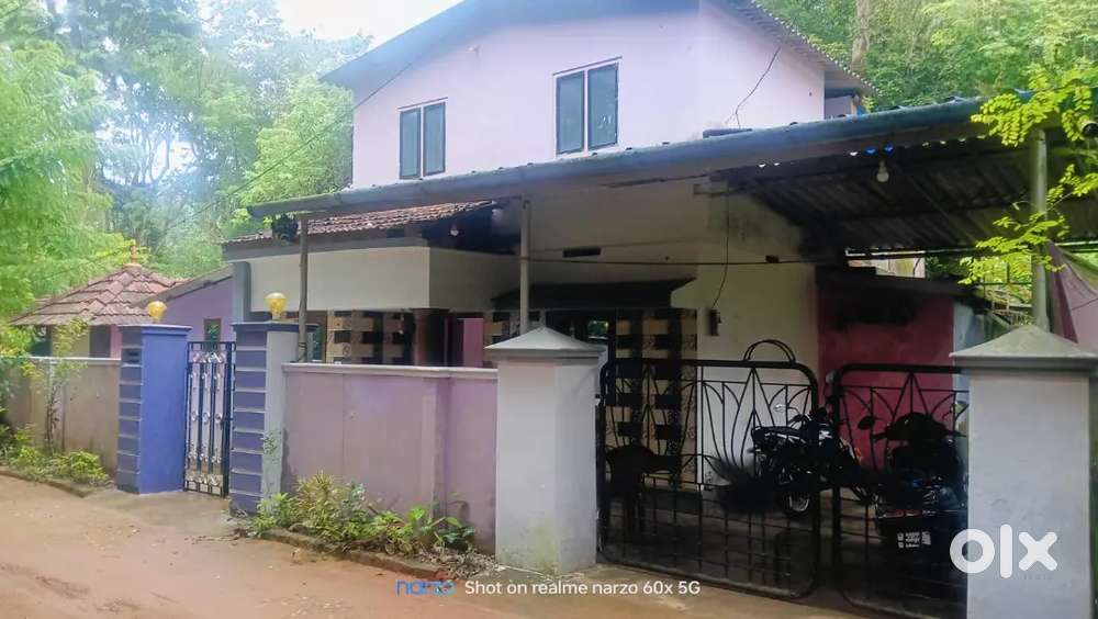 പയറ്റുകാട് house വെള്ളറോഡ്