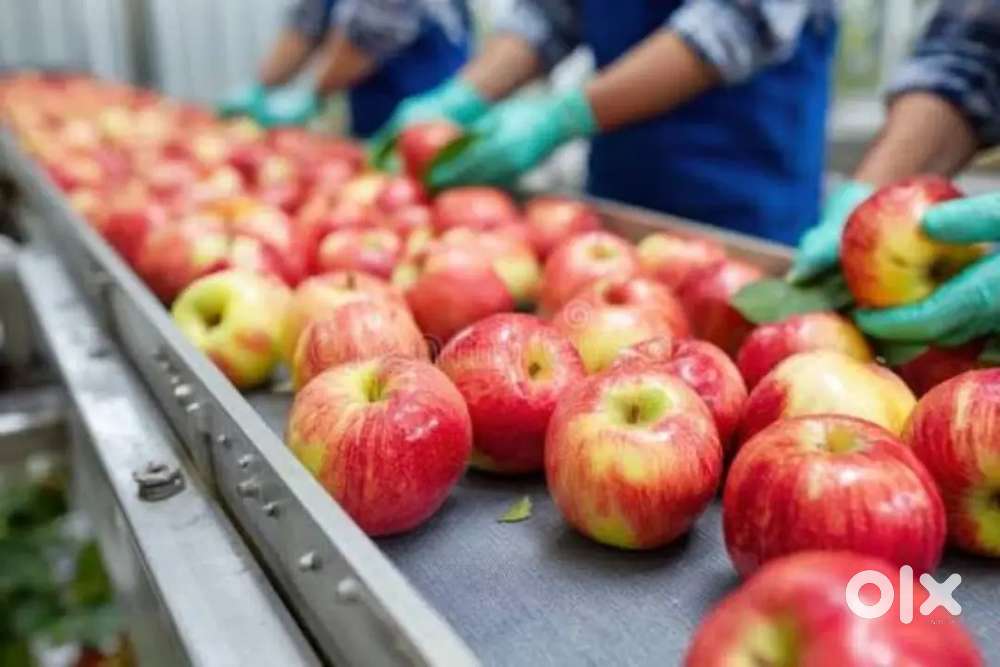 Wanted m/f packing  helpers [ partime/ fulltime]