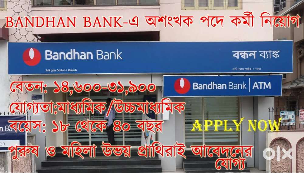 URGENT HIRING IN BACK OFFICE