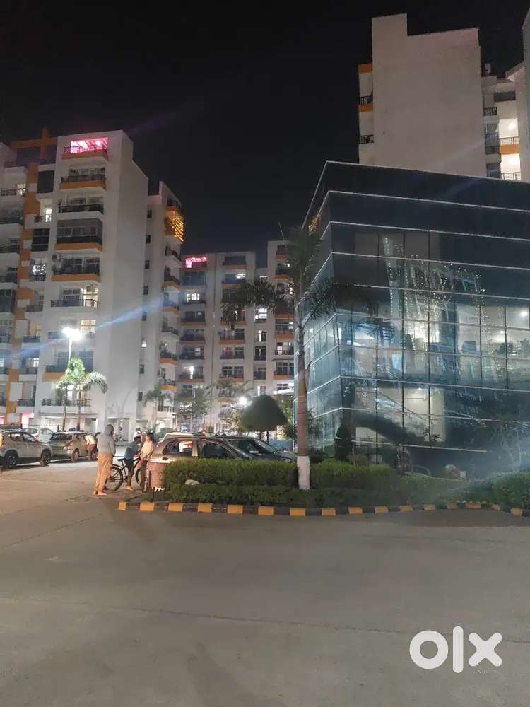 Need Chinese and Indian cook