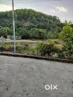 THANO CHOWK BETWEEN AIRPORT RAIPUR  ROAD