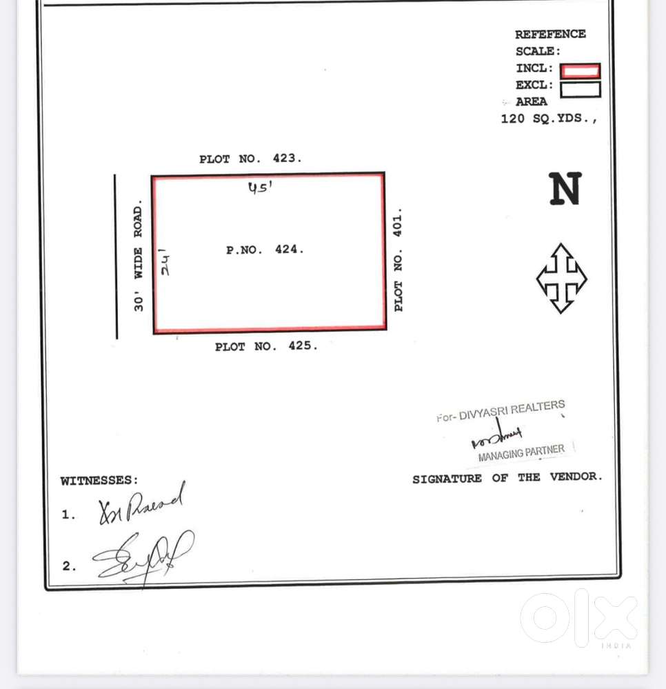 Sandal wood farm plot