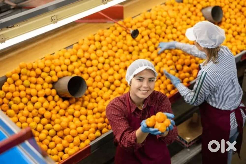 WANTED M/F PACKING BILLING STAFF