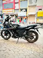 Pulsar 220f msy 2024