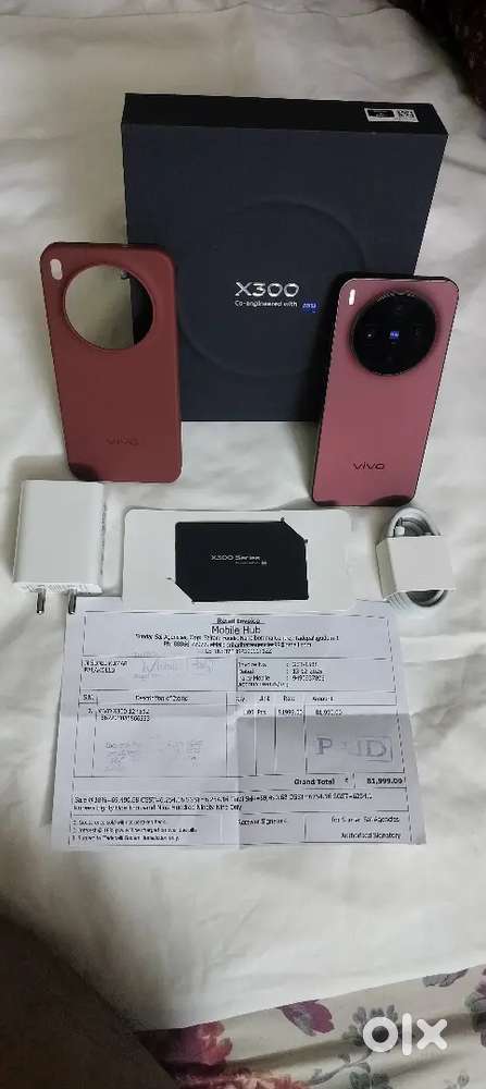VIVO X300,12/512 GB