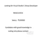 Visual Studio C Sharp Developer