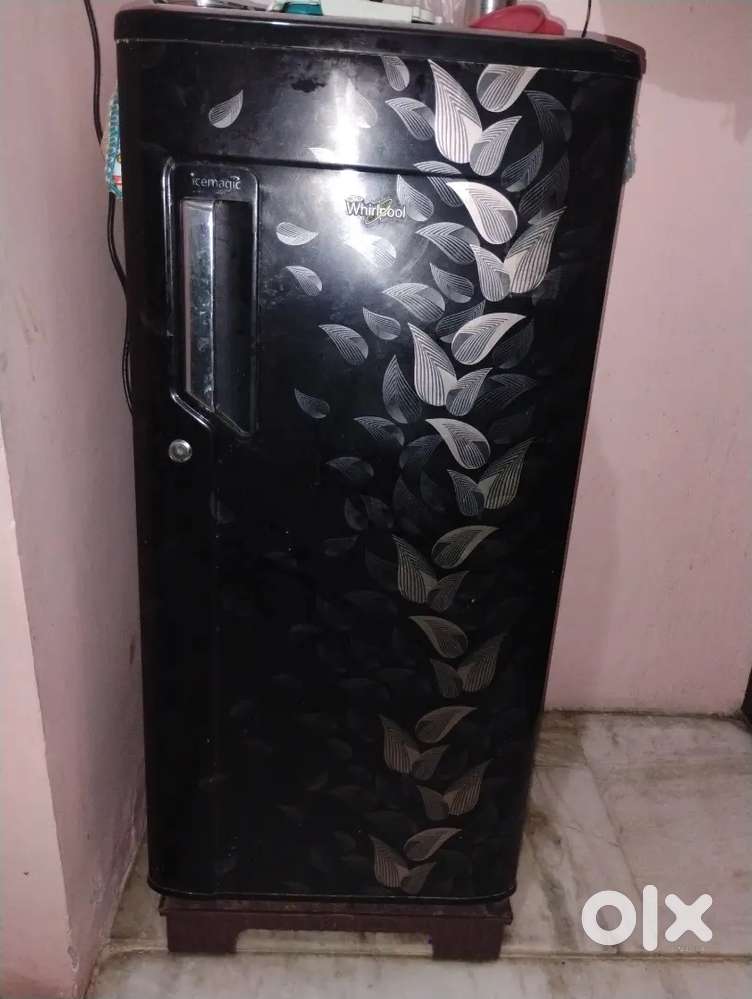 Fridge refrigerator