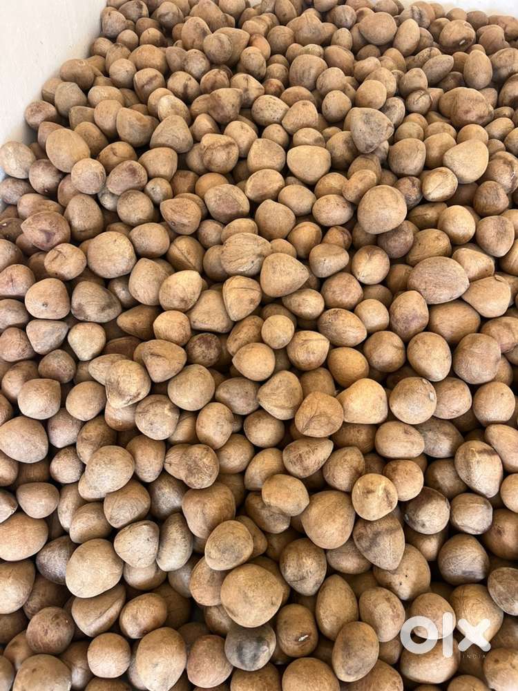 TALLY AND ACCOUNTS KNOWLEDGE. P&L B&S PREPARATION GST SUBMITION