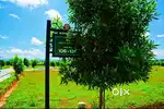 Ready Plots ₹7 Lakh Onwards Don’t Miss Out