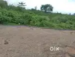 Land on Main Road side