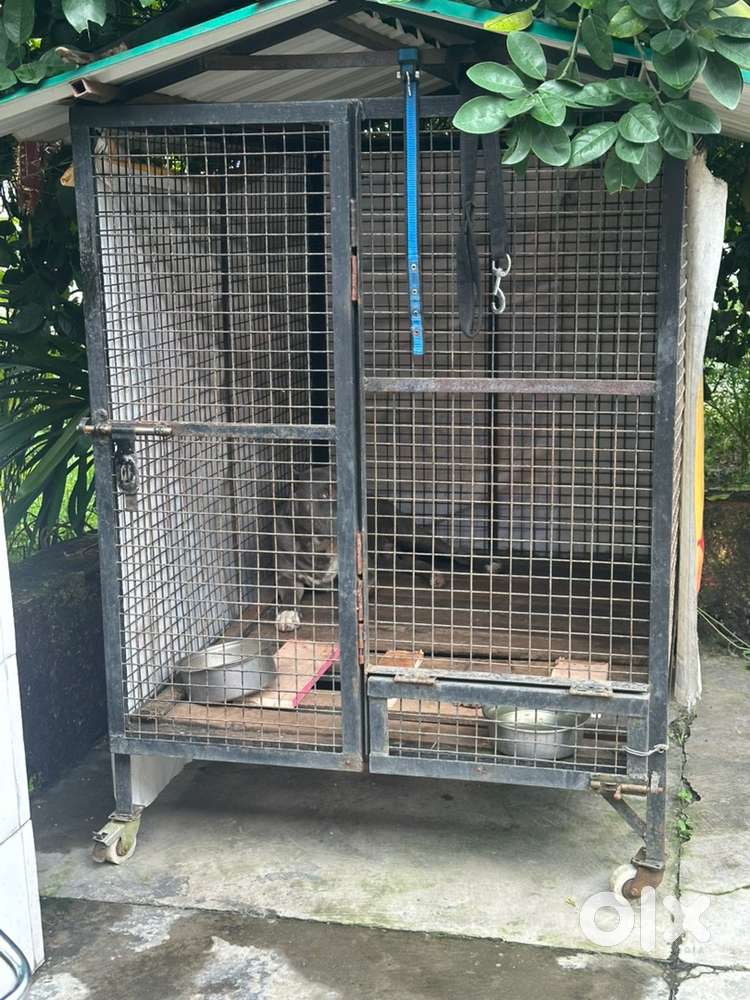 Dog cage for sale